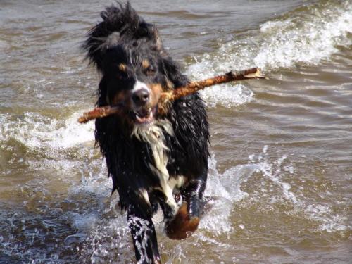 foto's water 2011 044 (1)